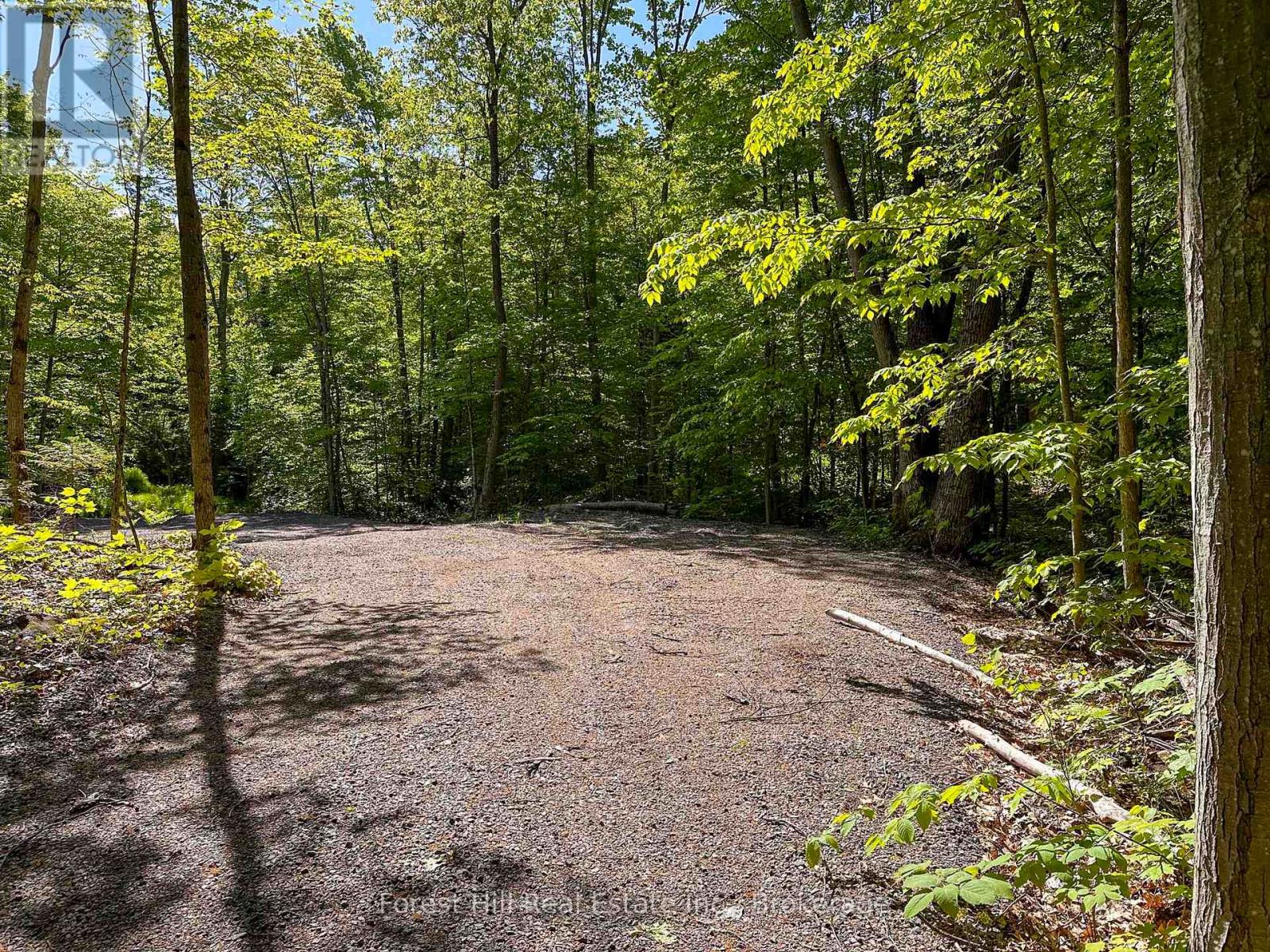 1066 South Muldrew Lake Road, Gravenhurst, Ontario  P0E 1G0 - Photo 4 - X12264034