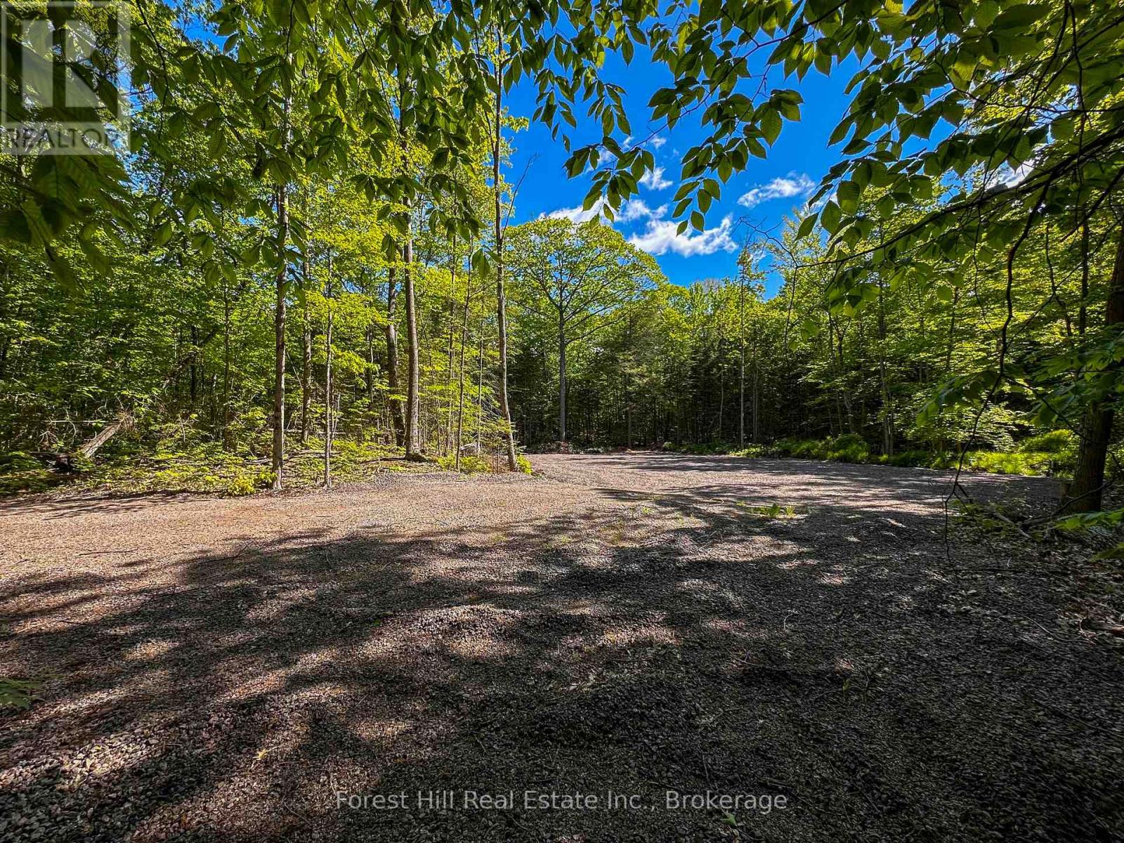 1066 South Muldrew Lake Road, Gravenhurst, Ontario  P0E 1G0 - Photo 5 - X12264034