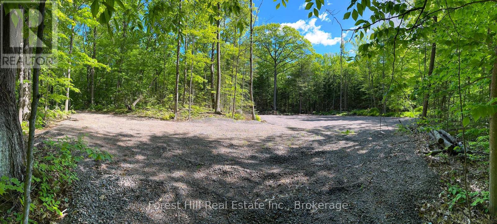 1066 South Muldrew Lake Road, Gravenhurst, Ontario  P0E 1G0 - Photo 6 - X12264034