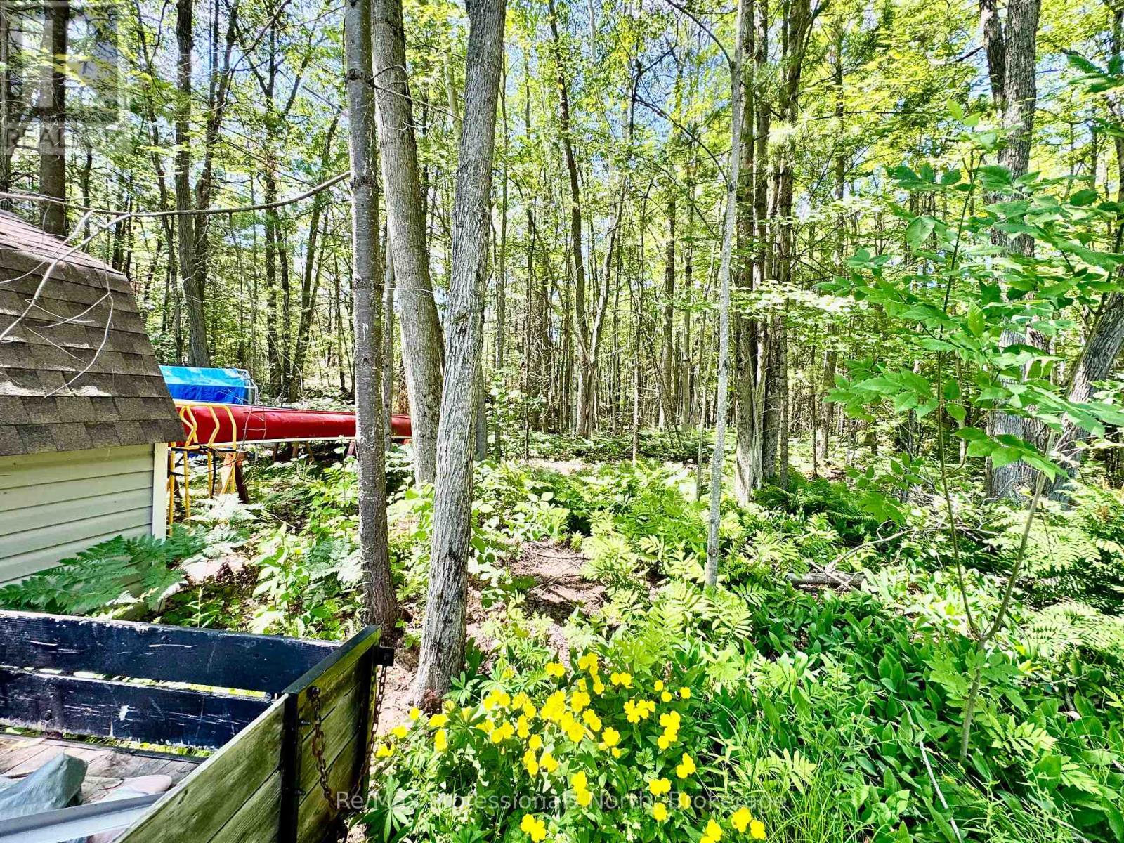 39 - 1007 Racoon Road, Gravenhurst, Ontario  P1P 1R1 - Photo 30 - X12264037