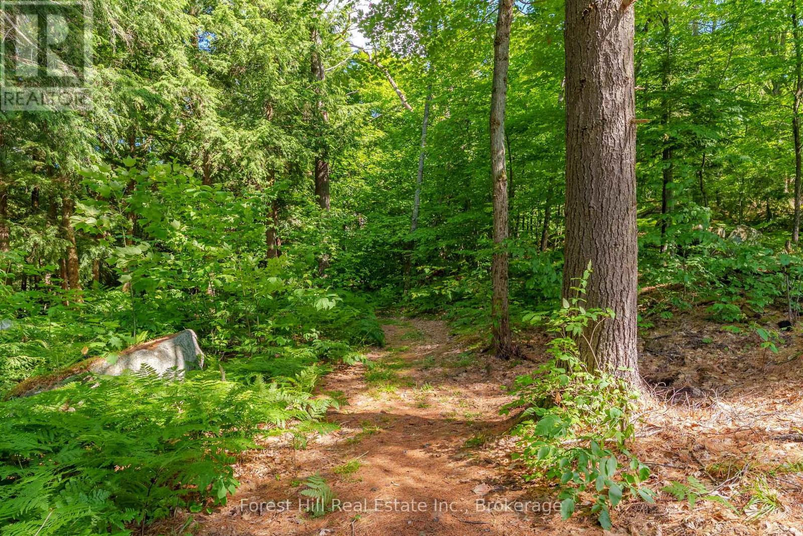 1 Sl 19 Roberts Island, Muskoka Lakes, Ontario  P0B 1M0 - Photo 31 - X12264154
