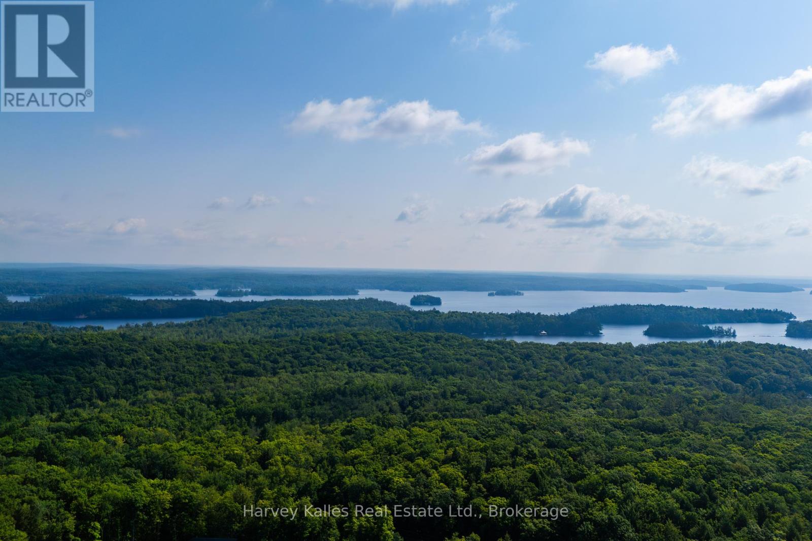 4 - 1254 Barlochan Road, Muskoka Lakes, Ontario  P1P 1R2 - Photo 28 - X12264878