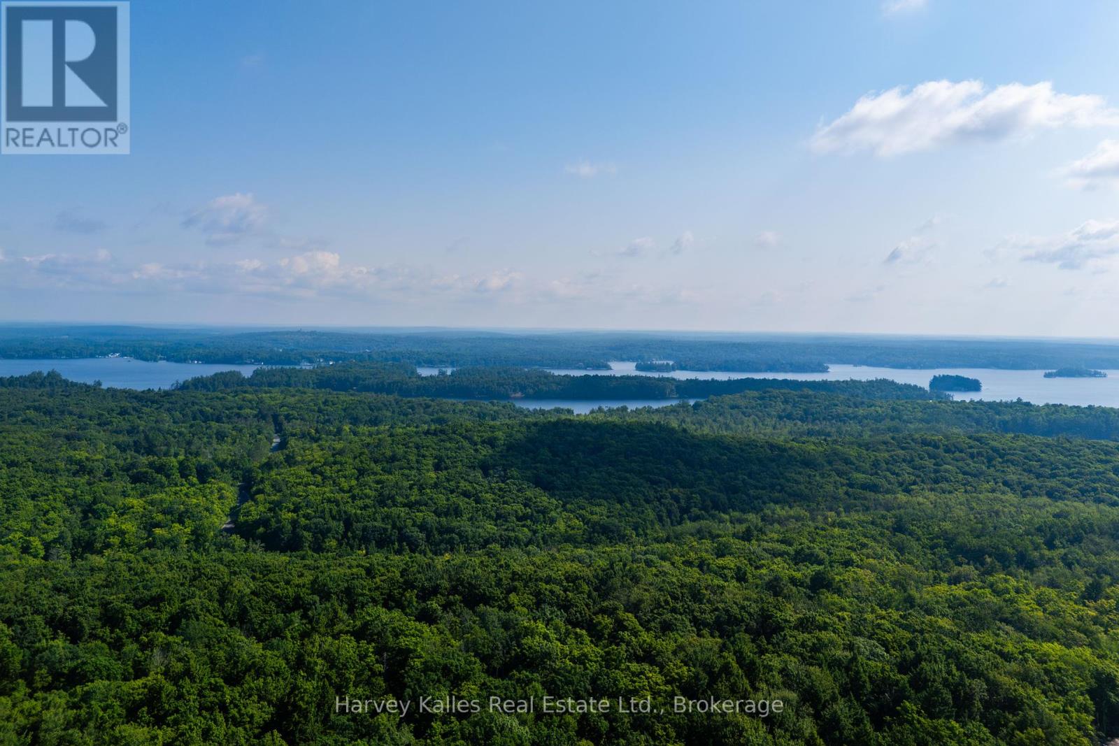 4 - 1254 Barlochan Road, Muskoka Lakes, Ontario  P1P 1R2 - Photo 29 - X12264878