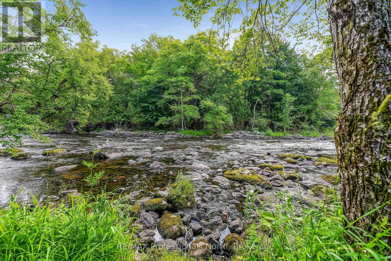 1071 Alton Lane, Minden Hills, Ontario  K0M 2K0 - Photo 33 - X12265001