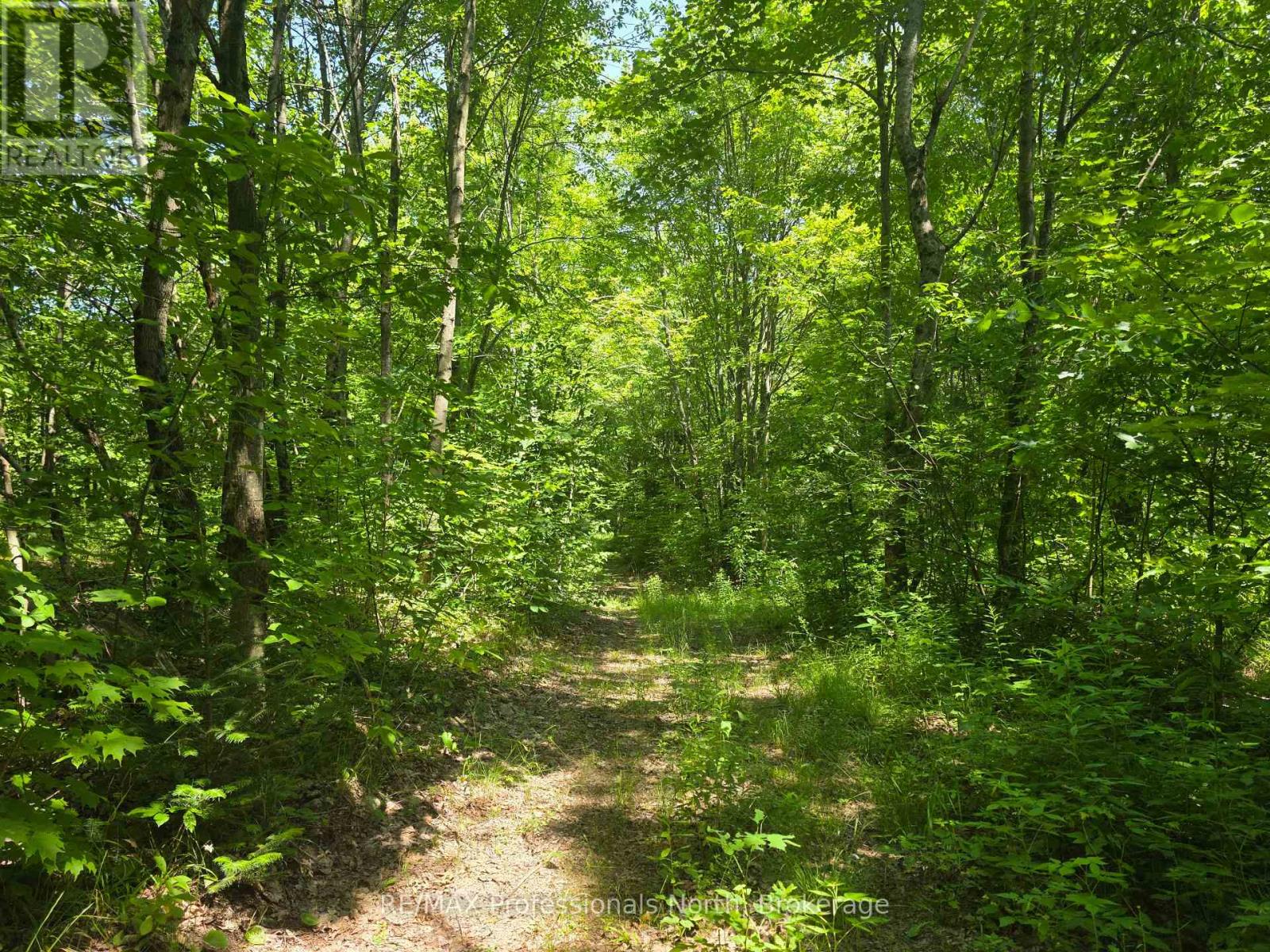 1134 Walkers Line Road, Algonquin Highlands, Ontario  K0M 1S0 - Photo 1 - X12265431
