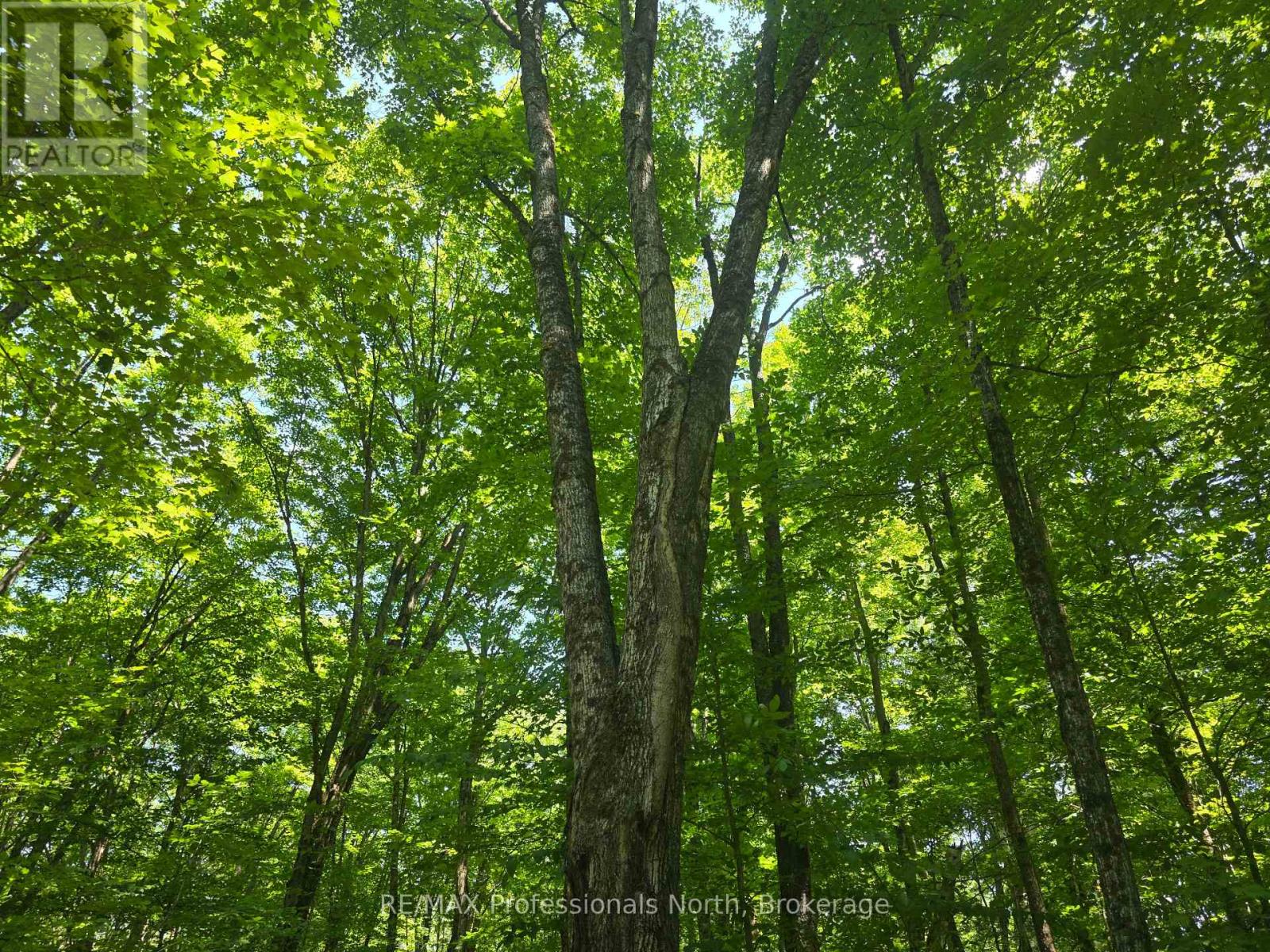 1134 Walkers Line Road, Algonquin Highlands, Ontario  K0M 1S0 - Photo 10 - X12265431