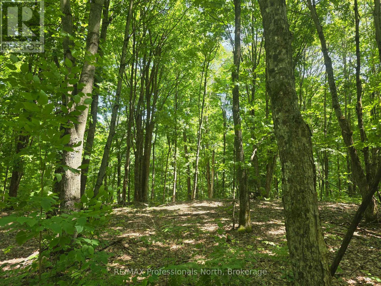 1134 Walkers Line Road, Algonquin Highlands, Ontario  K0M 1S0 - Photo 11 - X12265431