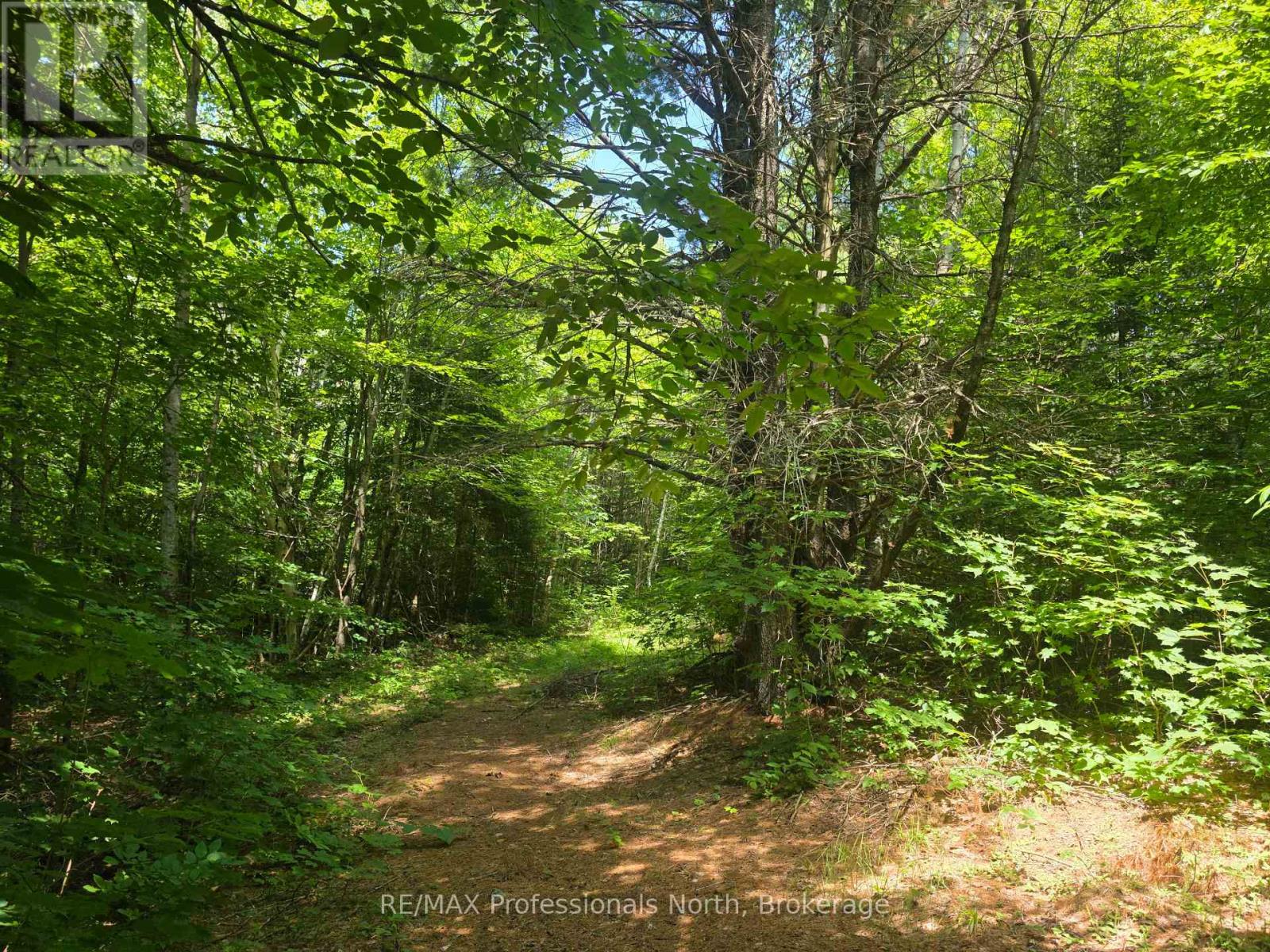 1134 Walkers Line Road, Algonquin Highlands, Ontario  K0M 1S0 - Photo 12 - X12265431