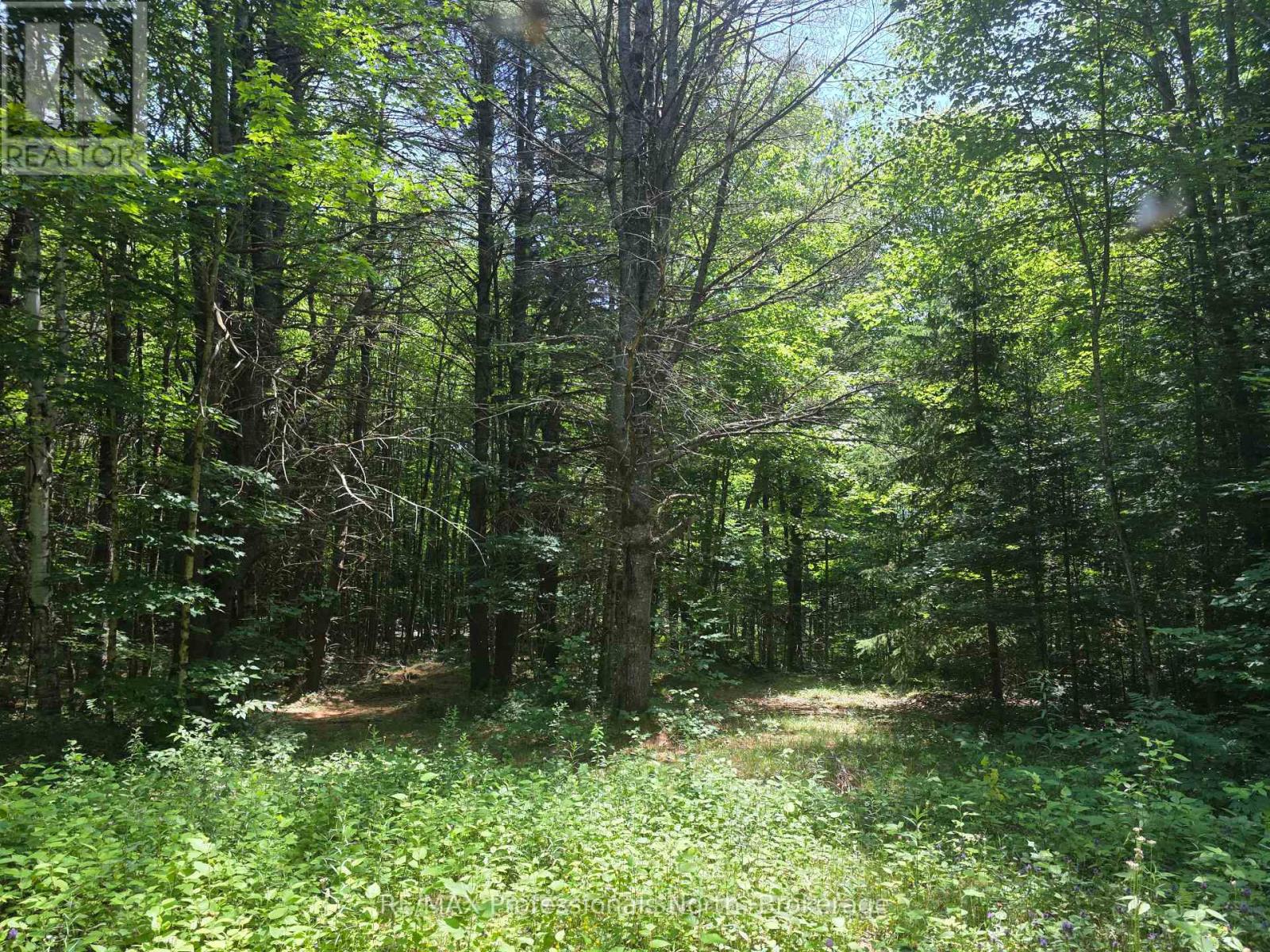 1134 Walkers Line Road, Algonquin Highlands, Ontario  K0M 1S0 - Photo 16 - X12265431