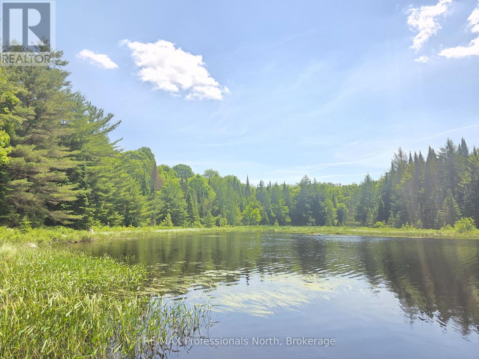 1134 Walkers Line Road, Algonquin Highlands, Ontario  K0M 1S0 - Photo 4 - X12265431