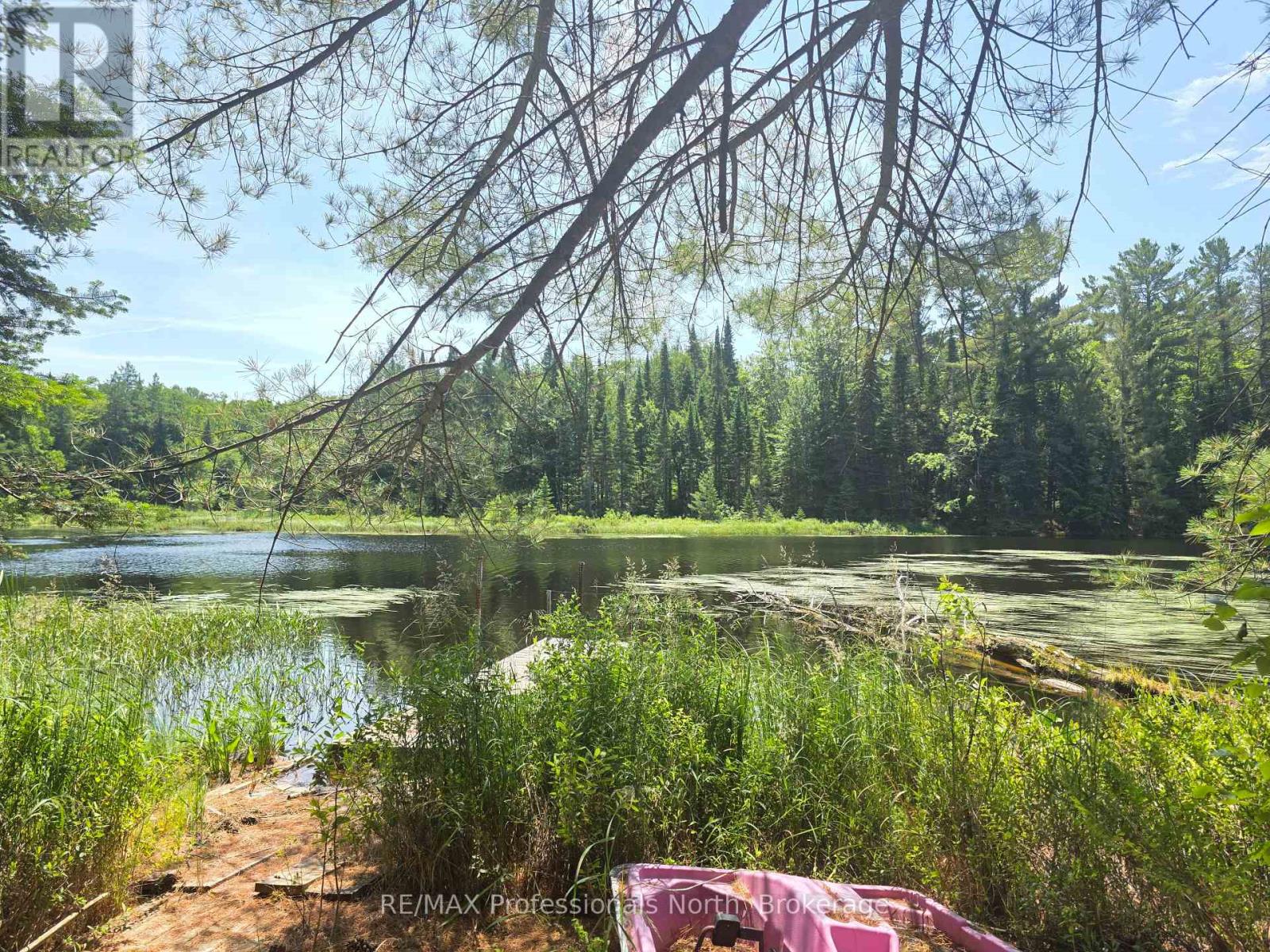 1134 Walkers Line Road, Algonquin Highlands, Ontario  K0M 1S0 - Photo 6 - X12265431
