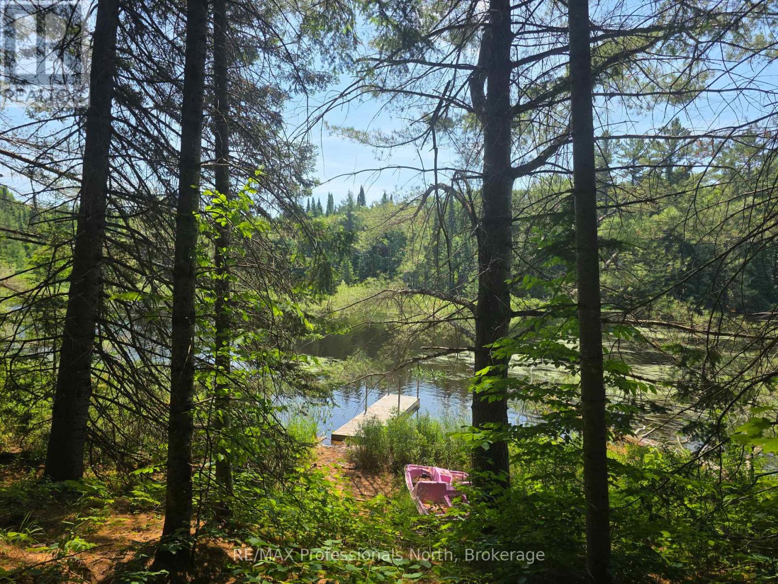 1134 Walkers Line Road, Algonquin Highlands, Ontario  K0M 1S0 - Photo 7 - X12265431
