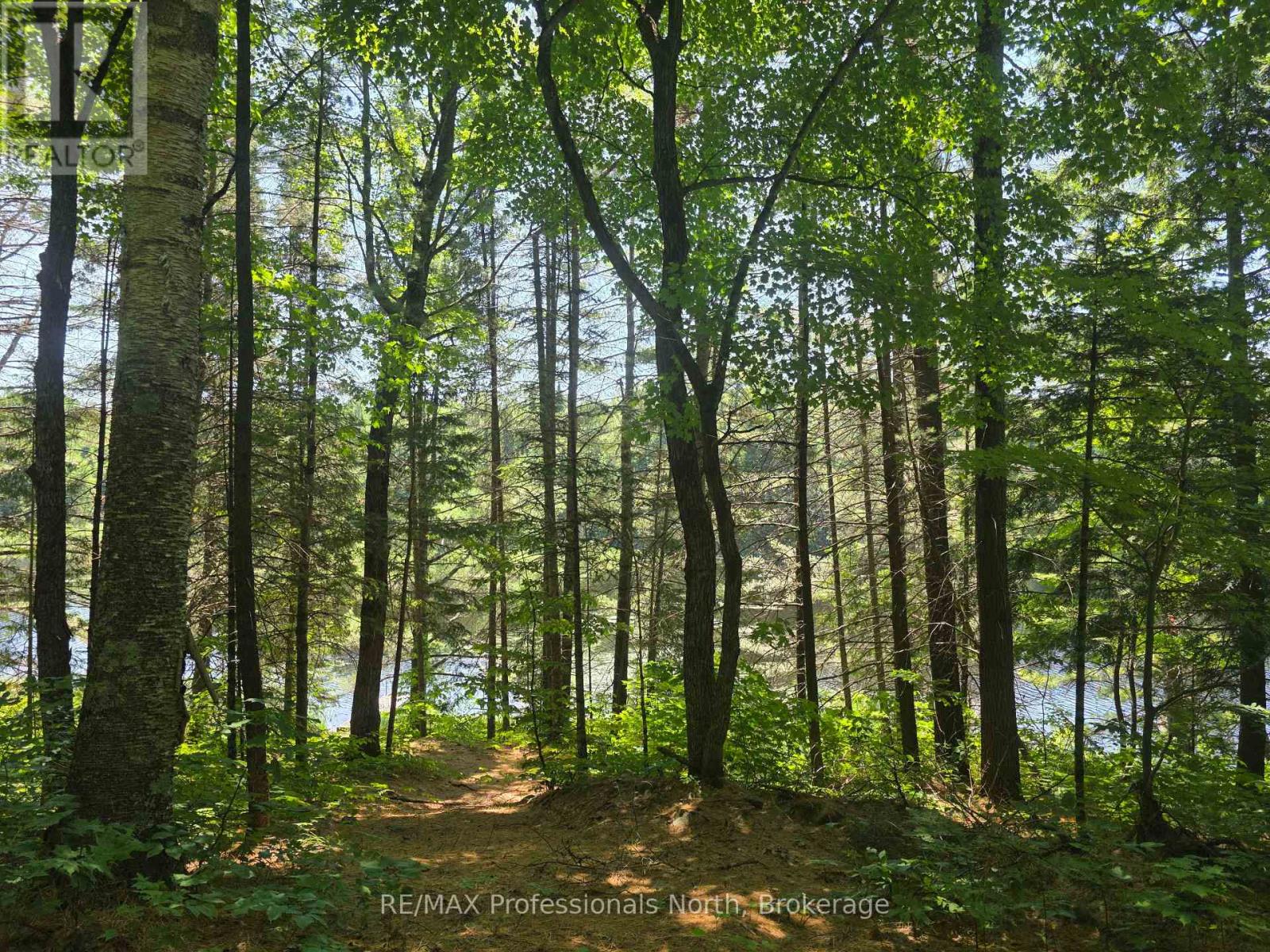 1134 Walkers Line Road, Algonquin Highlands, Ontario  K0M 1S0 - Photo 9 - X12265431