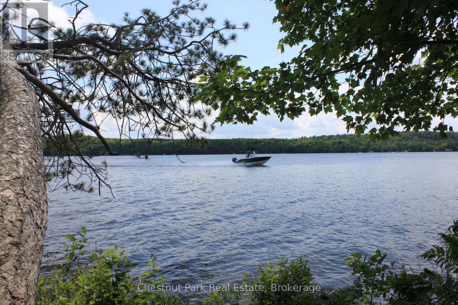 32 Bigwin Island, Lake Of Bays, Ontario  P0B 1A0 - Photo 10 - X12265757