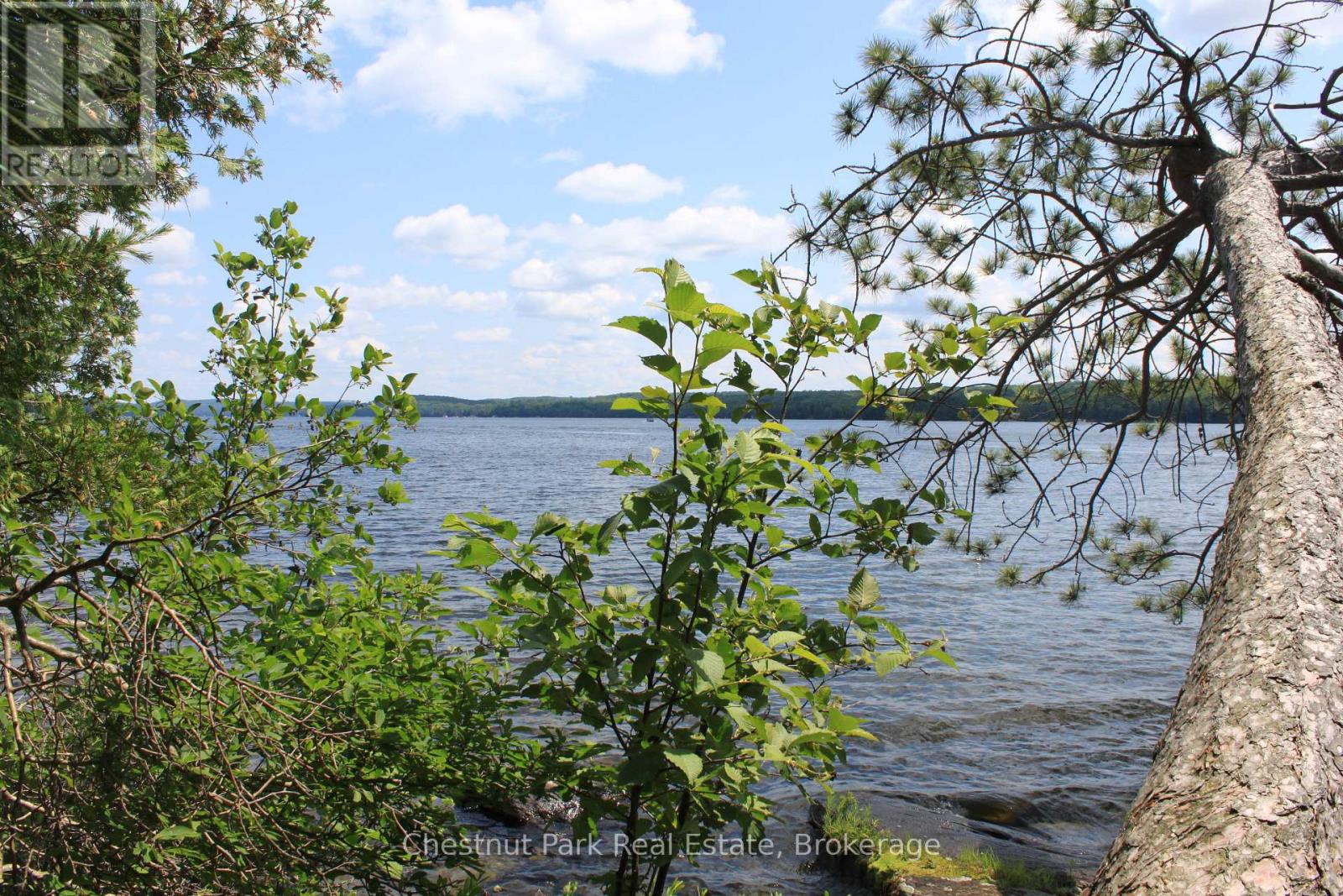 32 Bigwin Island, Lake Of Bays, Ontario  P0B 1A0 - Photo 11 - X12265757