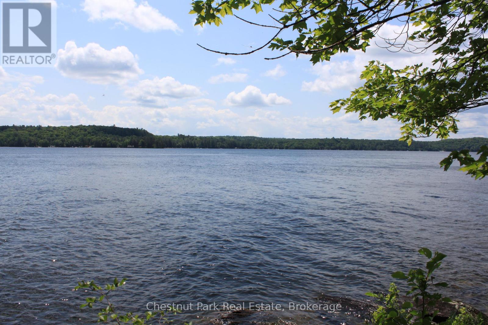 32 Bigwin Island, Lake Of Bays, Ontario  P0B 1A0 - Photo 13 - X12265757
