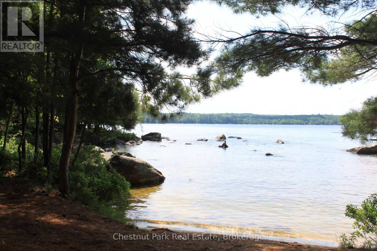 32 Bigwin Island, Lake Of Bays, Ontario  P0B 1A0 - Photo 4 - X12265757