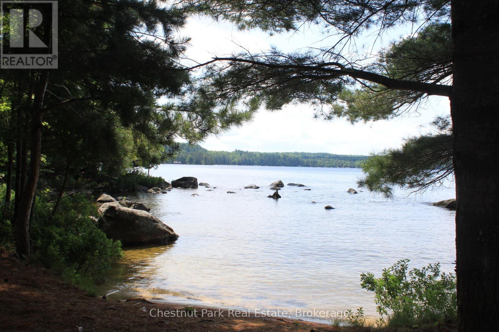 32 Bigwin Island, Lake Of Bays, Ontario  P0B 1A0 - Photo 5 - X12265757