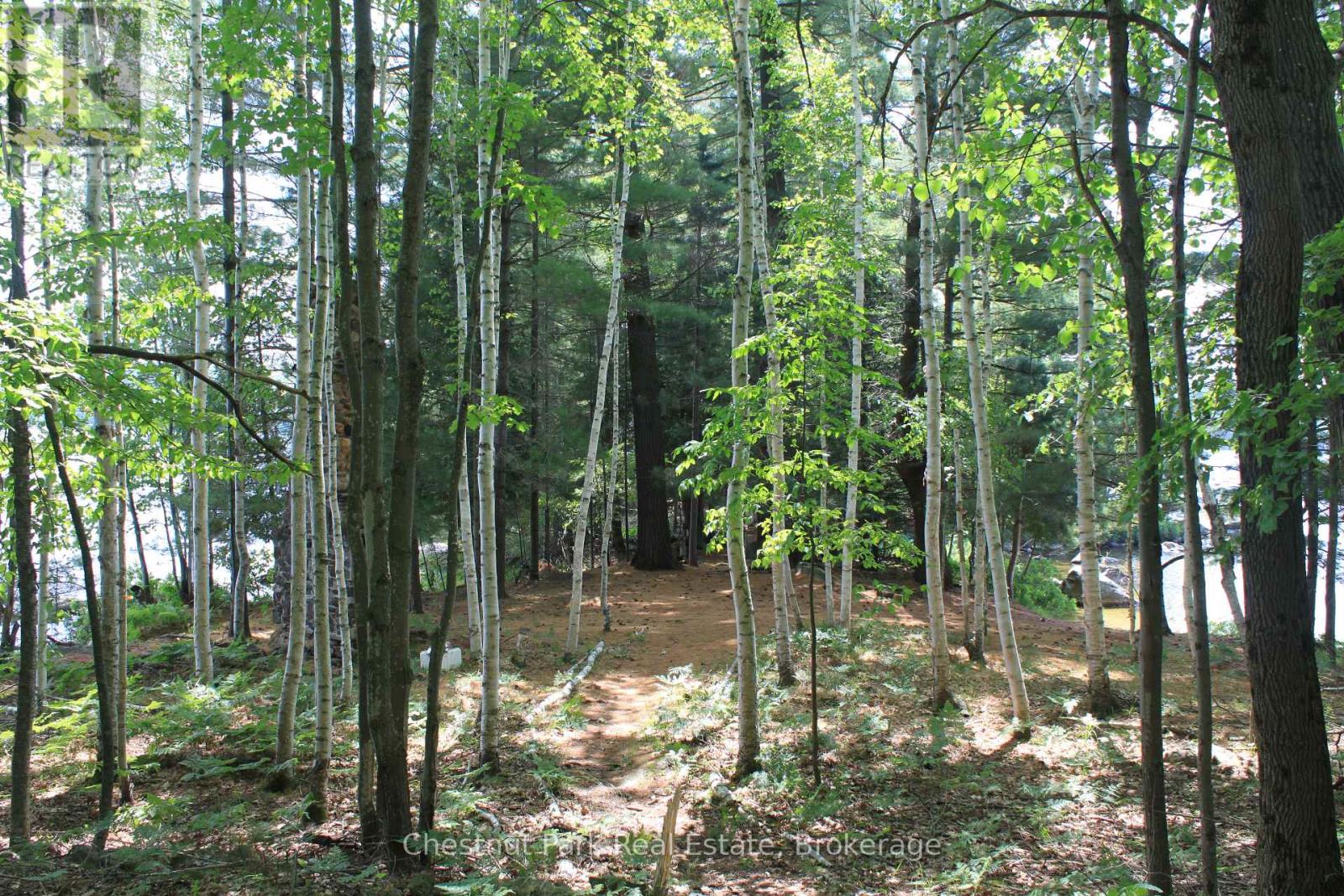 32 Bigwin Island, Lake Of Bays, Ontario  P0B 1A0 - Photo 7 - X12265757