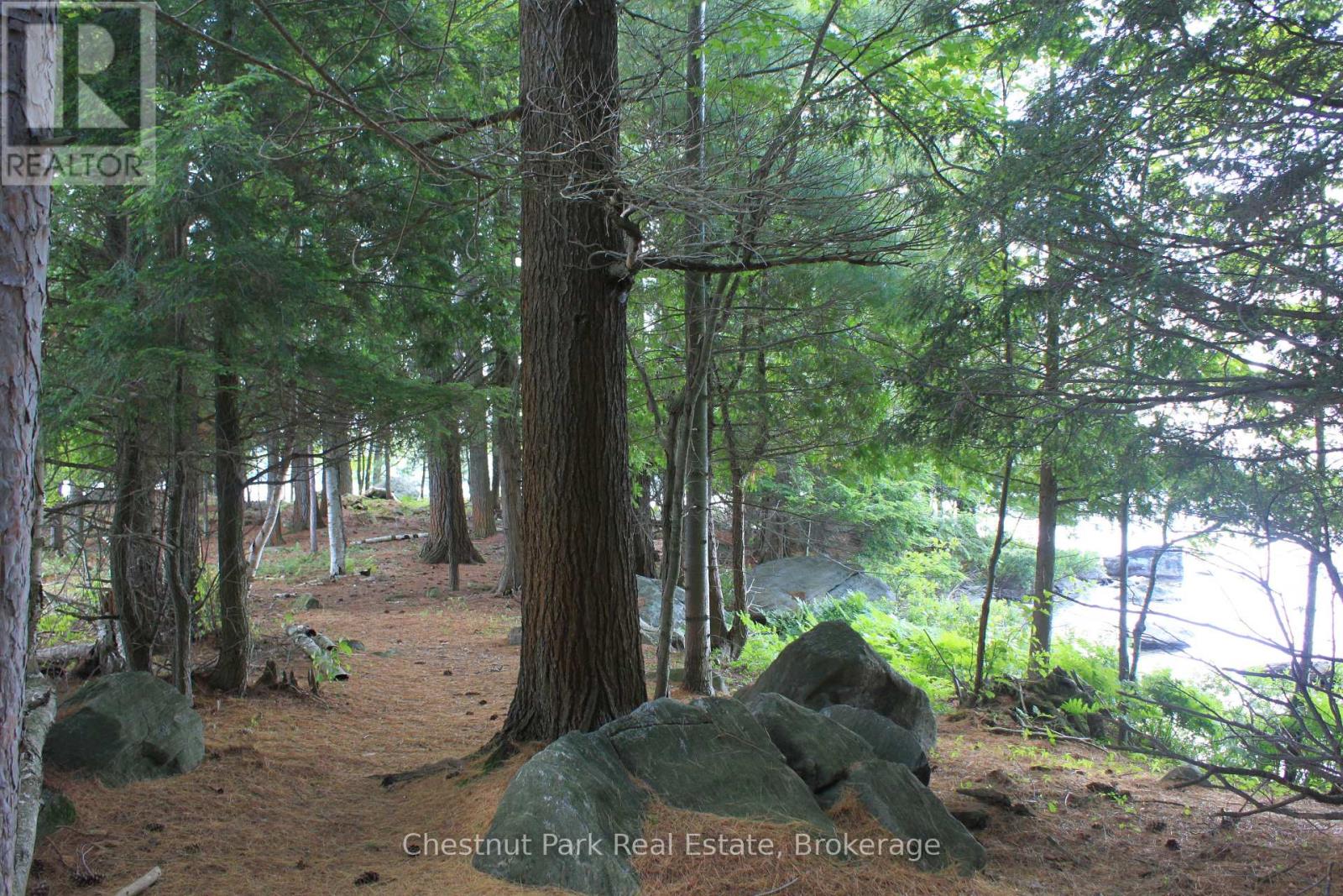 32 Bigwin Island, Lake Of Bays, Ontario  P0B 1A0 - Photo 8 - X12265757