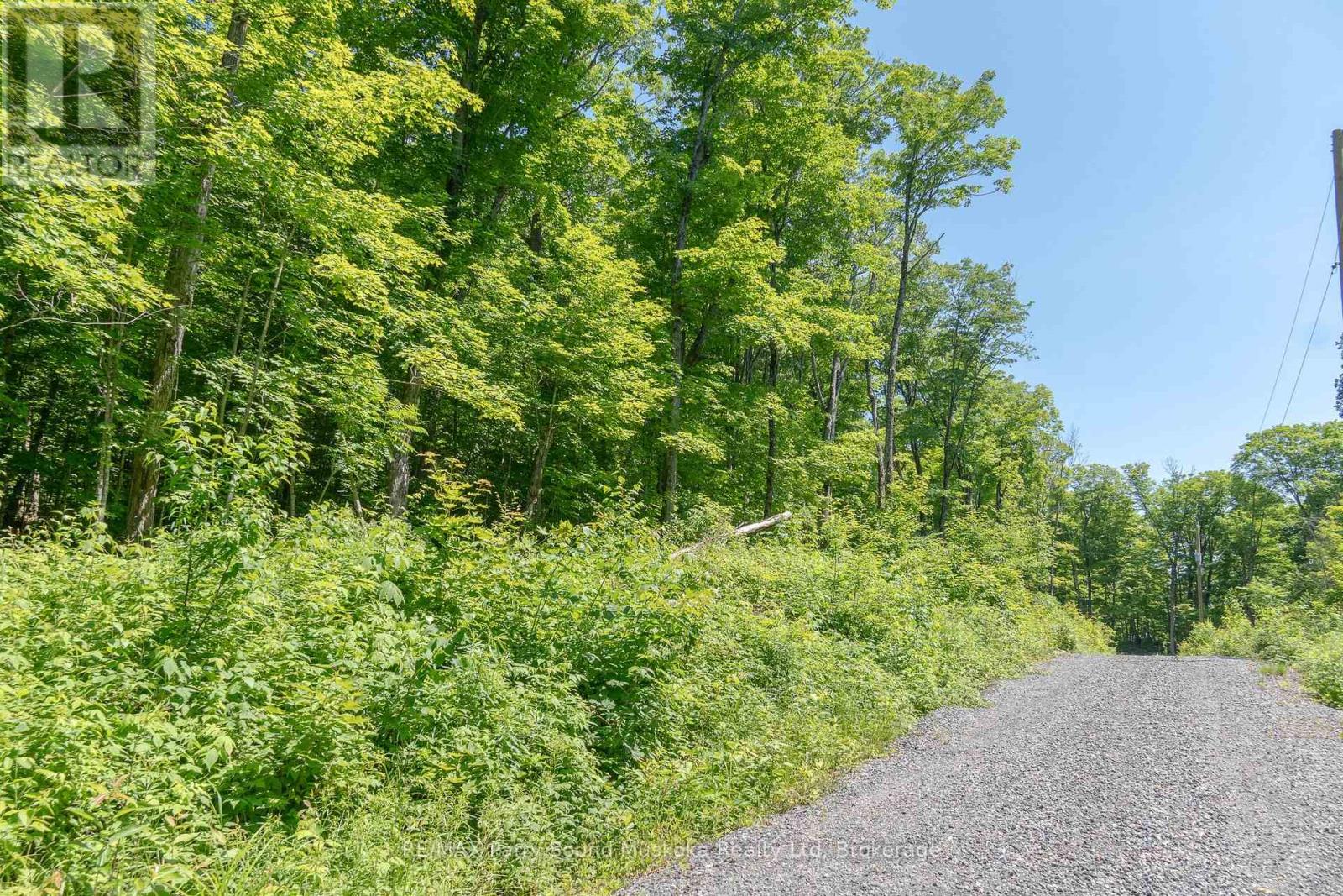 0 Floods Lane, Mckellar, Ontario  P0G 1C0 - Photo 21 - X12265992