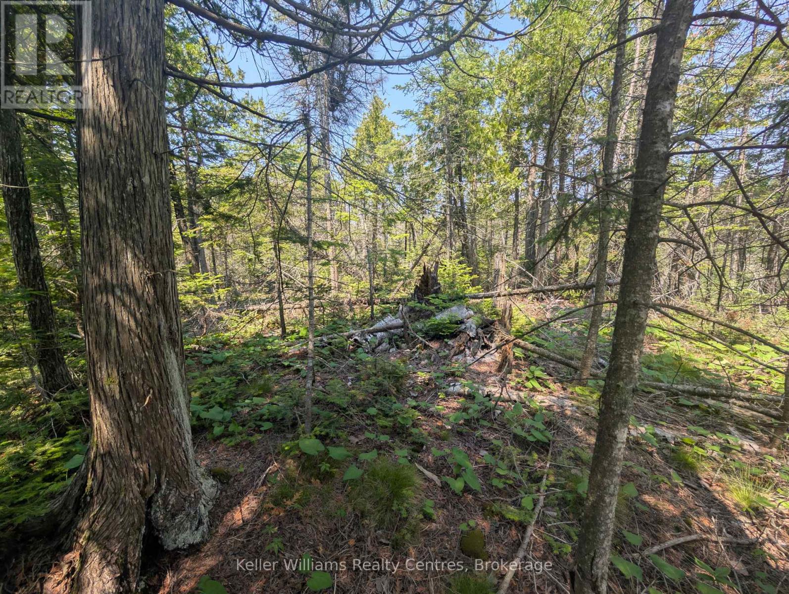 1226 Dorcas Bay Road, Northern Bruce Peninsula, Ontario  N0H 2R0 - Photo 14 - X12266505