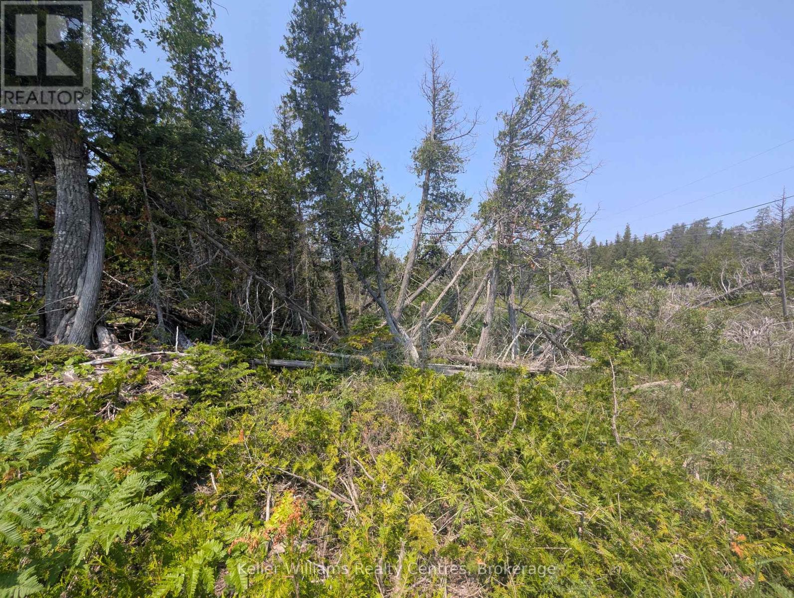 1226 Dorcas Bay Road, Northern Bruce Peninsula, Ontario  N0H 2R0 - Photo 15 - X12266505
