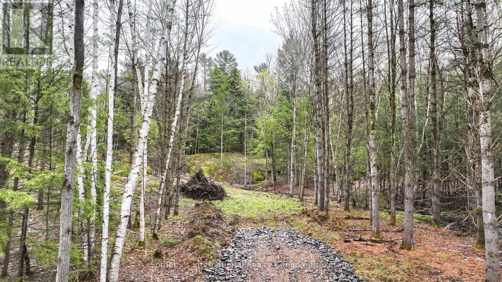 1735 Kilworthy Road, Gravenhurst, Ontario  P0E 1G0 - Photo 2 - X12267039