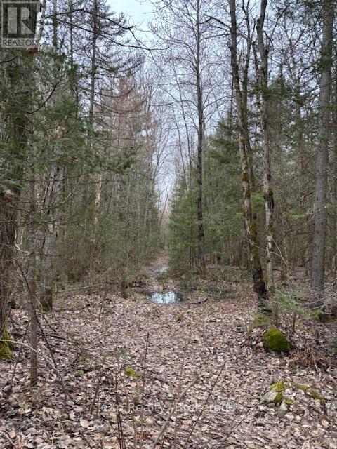 Con 1 Lot 12, Parry Sound Remote Area, Ontario  P0A 1X0 - Photo 10 - X12267257