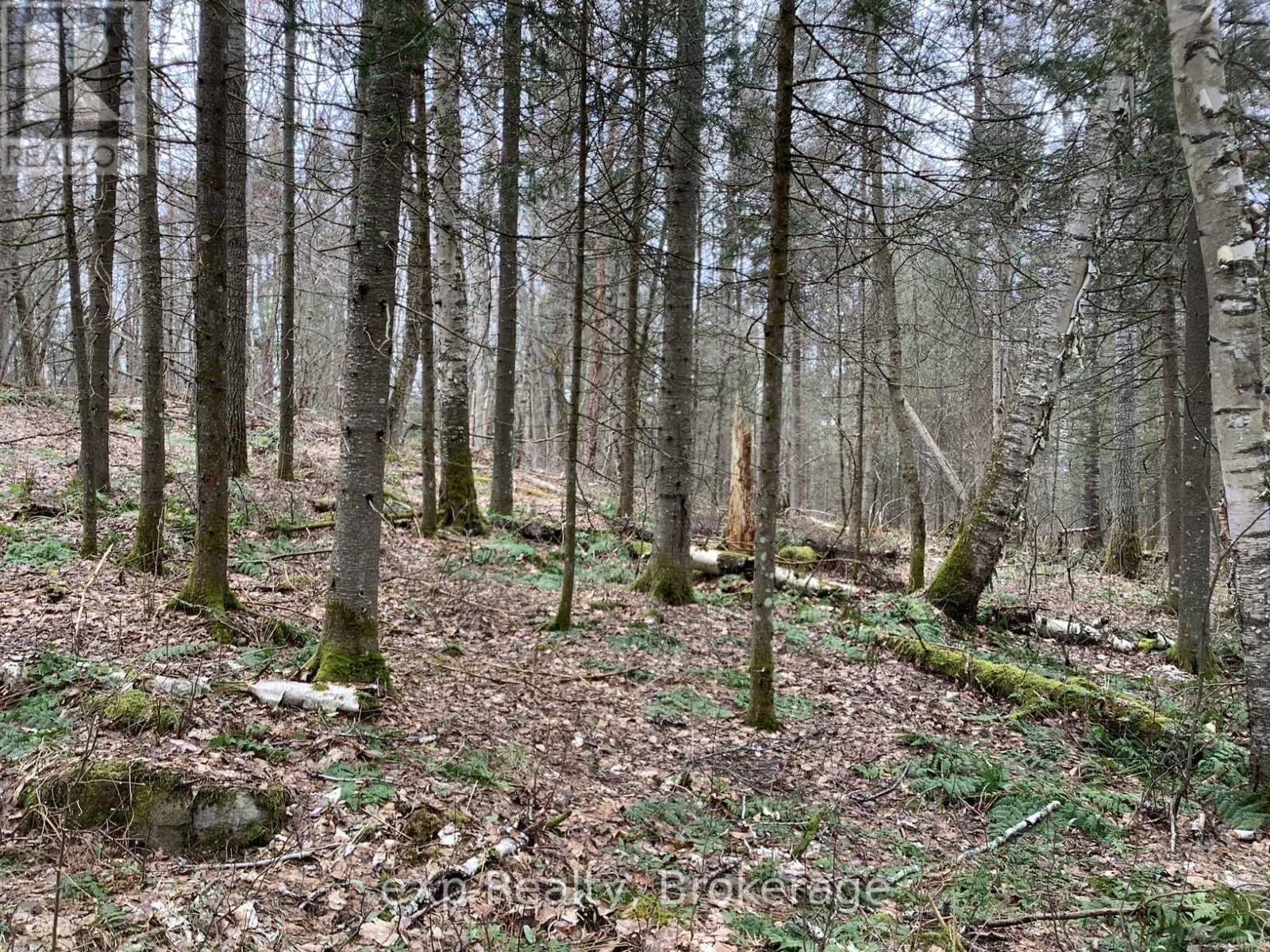Con 1 Lot 12, Parry Sound Remote Area, Ontario  P0A 1X0 - Photo 8 - X12267257