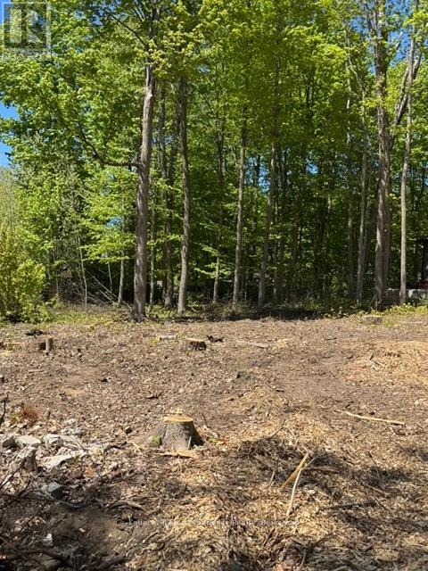 LOT 3 FAIRLAWN GROVE, Tiny, Ontario