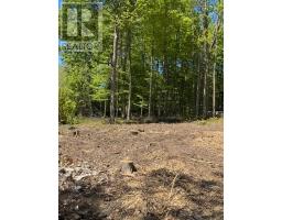 LOT 3 FAIRLAWN GROVE, Tiny, Ontario