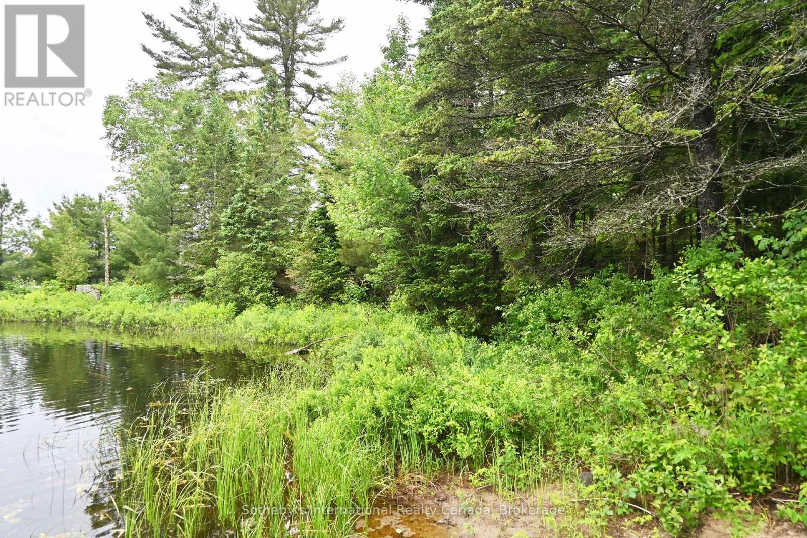 597 (Lot 1) Fords Road, Magnetawan, Ontario  P2A 0B5 - Photo 5 - X12268397