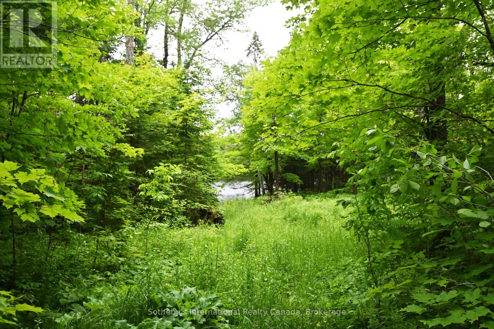 597 (Lot 1) Fords Road, Magnetawan, Ontario  P2A 0B5 - Photo 6 - X12268397
