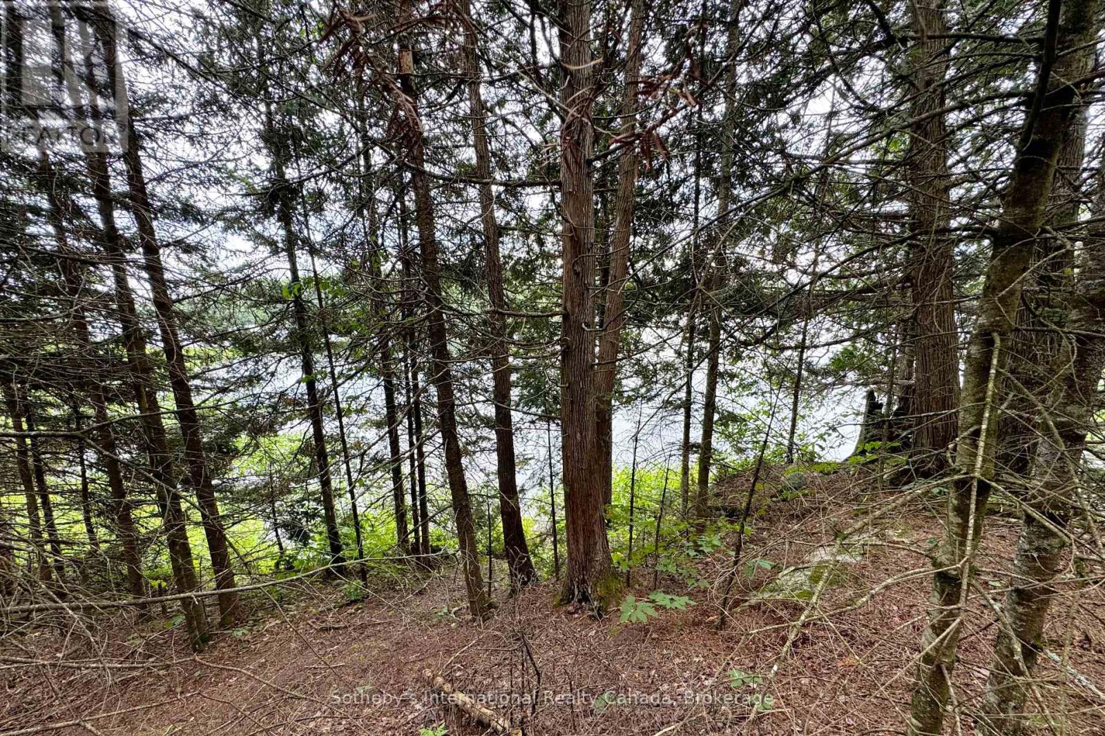 597 (Lot 3) Fords Road, Magnetawan, Ontario  P2A 0B5 - Photo 4 - X12268782