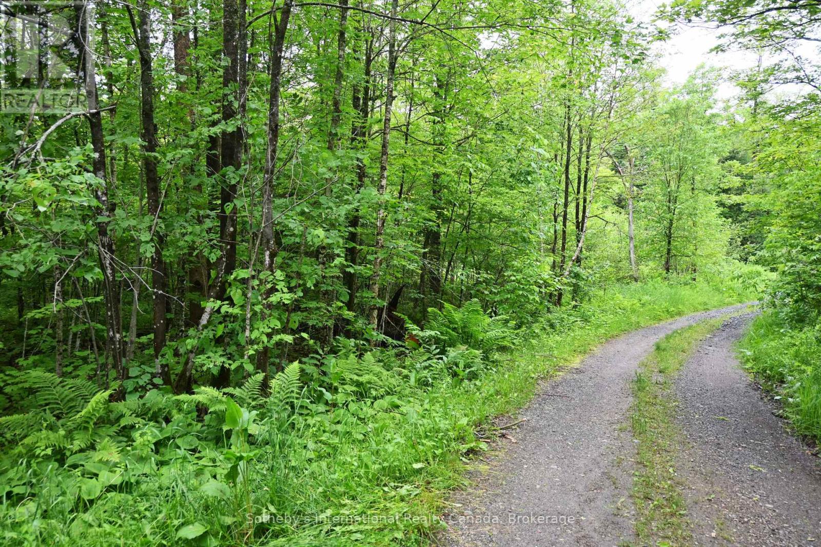597 (Lot 4) Fords Road, Magnetawan, Ontario  P2A 0B5 - Photo 4 - X12268820