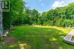 2430 Hadlington Road, Highlands East, Ontario  K0L 3C0 - Photo 33 - X12269487