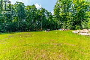 2430 Hadlington Road, Highlands East, Ontario  K0L 3C0 - Photo 37 - X12269487