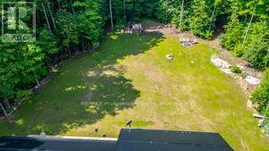 2430 Hadlington Road, Highlands East, Ontario  K0L 3C0 - Photo 40 - X12269487
