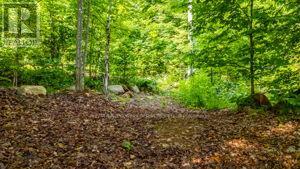 2430 Hadlington Road, Highlands East, Ontario  K0L 3C0 - Photo 41 - X12269487