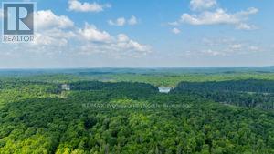 2430 Hadlington Road, Highlands East, Ontario  K0L 3C0 - Photo 47 - X12269487