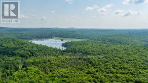 2430 Hadlington Road, Highlands East, Ontario  K0L 3C0 - Photo 49 - X12269487