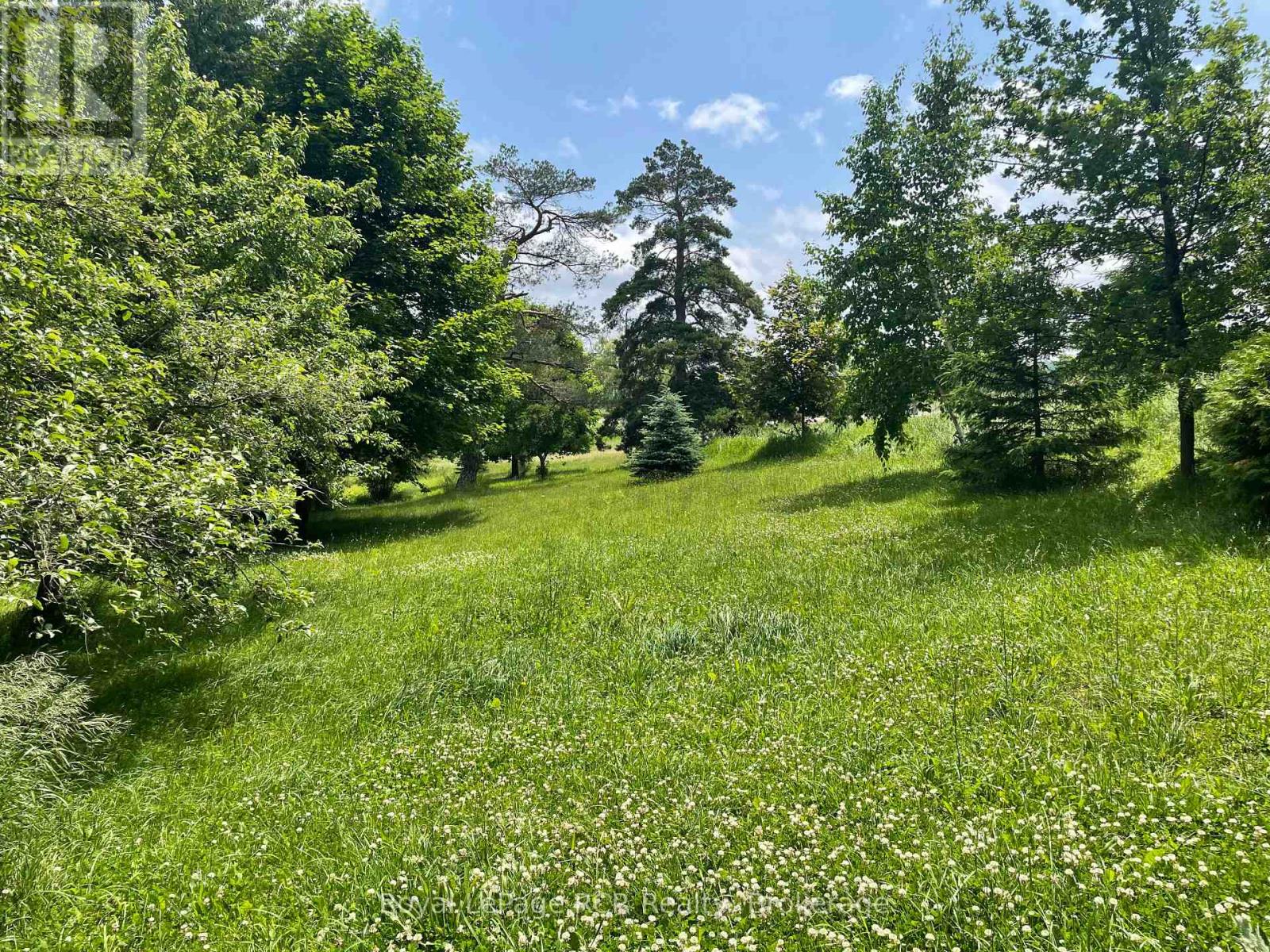 828254 Mulmur Nottawasaga Townline, Mulmur, Ontario  L9V 0Y7 - Photo 28 - X12270498