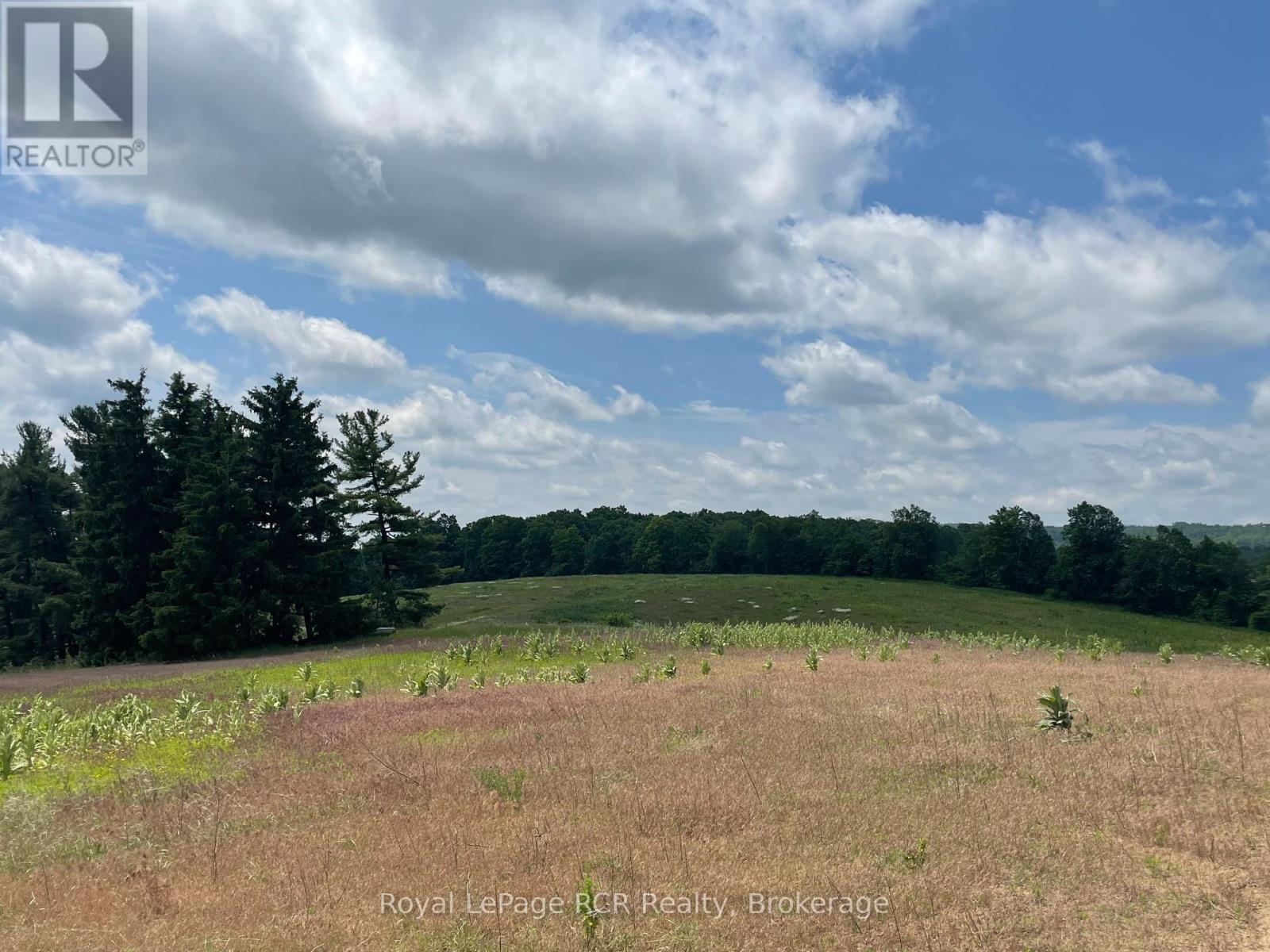 828254 Mulmur Nottawasaga Townline, Mulmur, Ontario  L9V 0Y7 - Photo 30 - X12270498