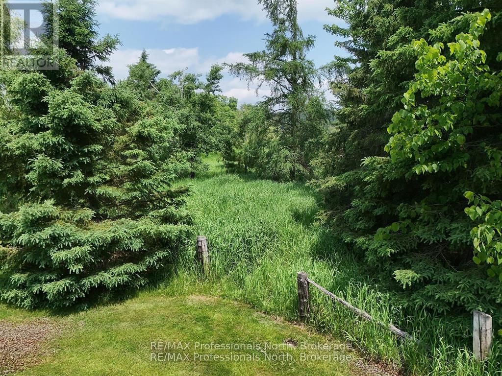 1287 Golden Beach Road, Bracebridge, Ontario  P1L 1C5 - Photo 41 - X12272935
