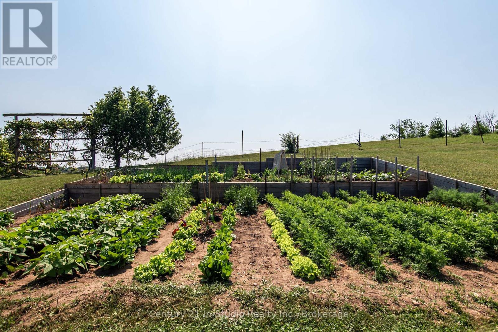 1142 Sideroad 10 S, Arran-Elderslie, Ontario  N0H 1A0 - Photo 41 - X12272952
