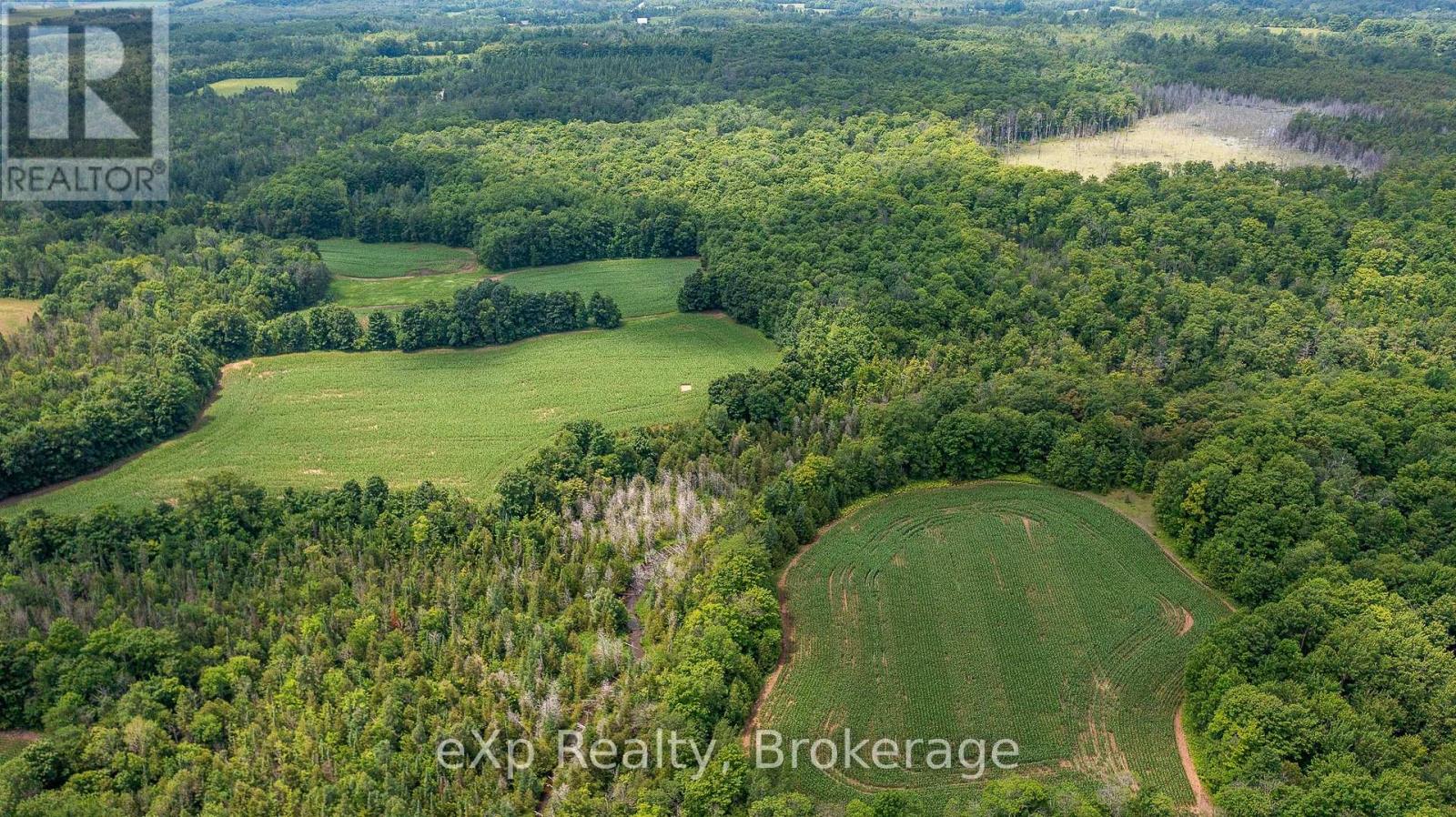 4558803 Concession 3b, Chatsworth, Ontario  N0H 1R0 - Photo 7 - X12273656
