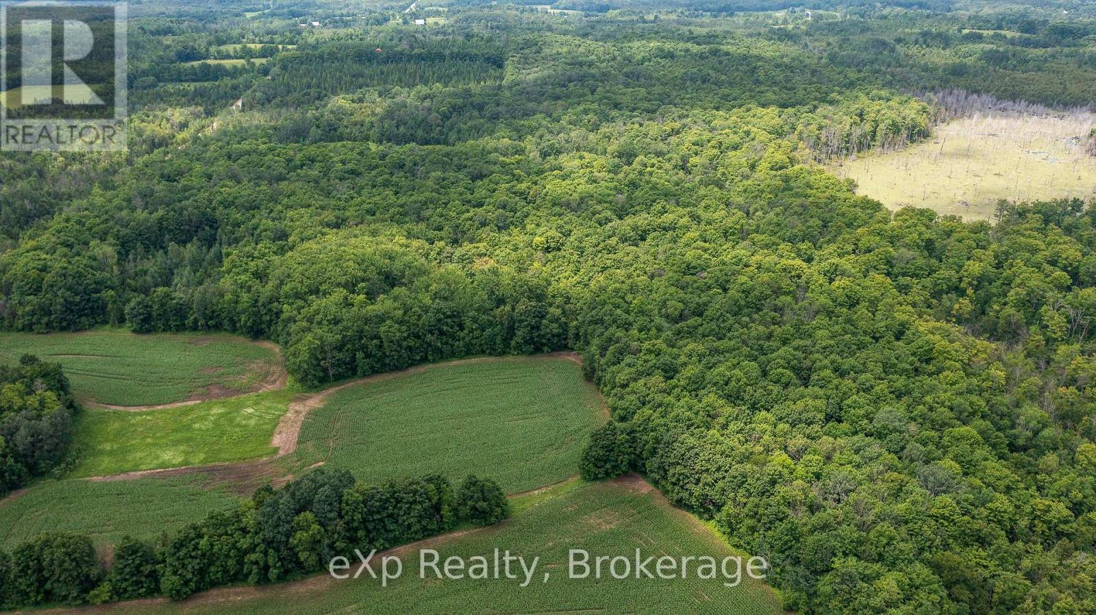 4558803 Concession 3b, Chatsworth, Ontario  N0H 1R0 - Photo 9 - X12273656