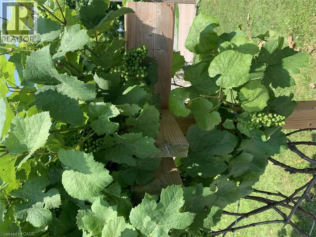 4322 Bampfield Street, Niagara Falls, Ontario  L2E 1G8 - Photo 50 - 40749908