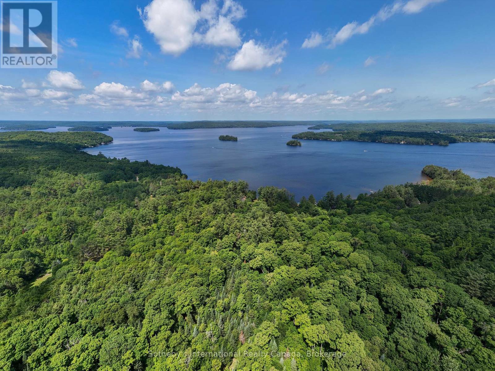 1098 Old Hwy 117, Lake Of Bays, Ontario  P0B 1A0 - Photo 6 - X12275009